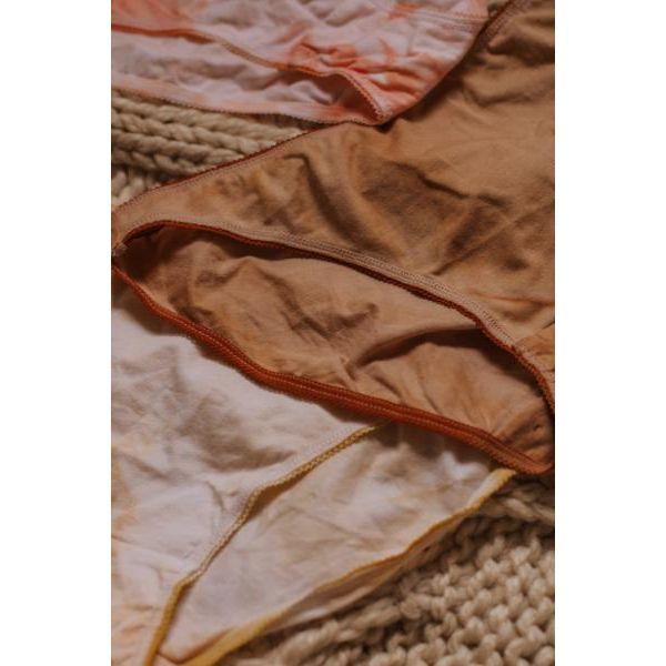 Layan Comfy Classic Brief - Discovery Multi pack x5